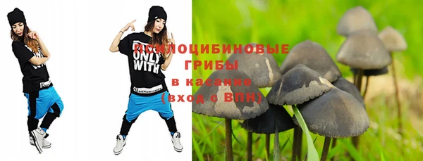 прущая мука Аркадак